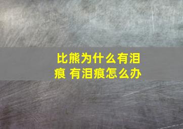 比熊为什么有泪痕 有泪痕怎么办